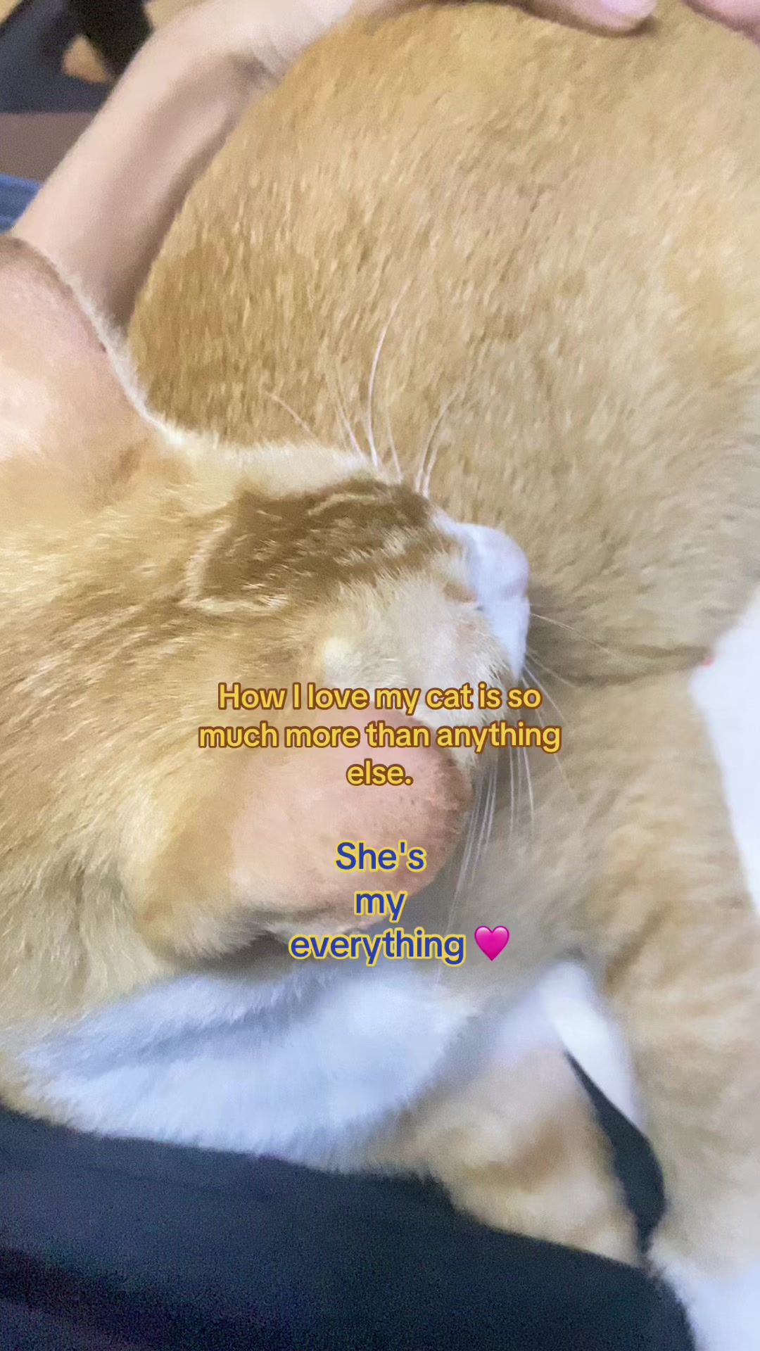 @𝐻