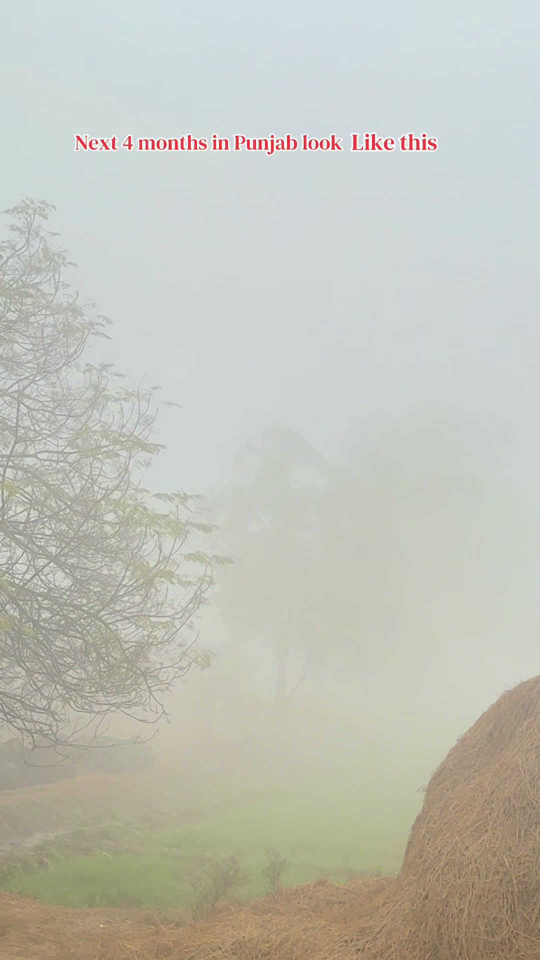 @ابوبکر اعوان (گل والا )