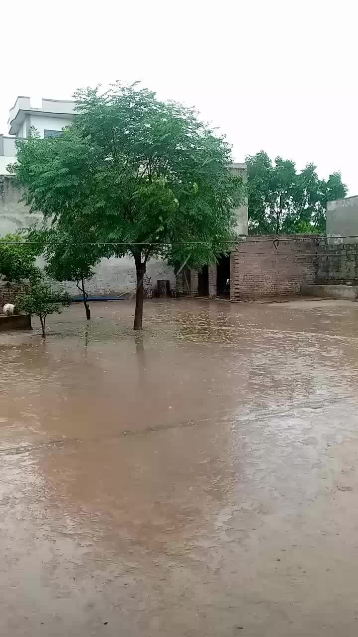 @wajid ali bop