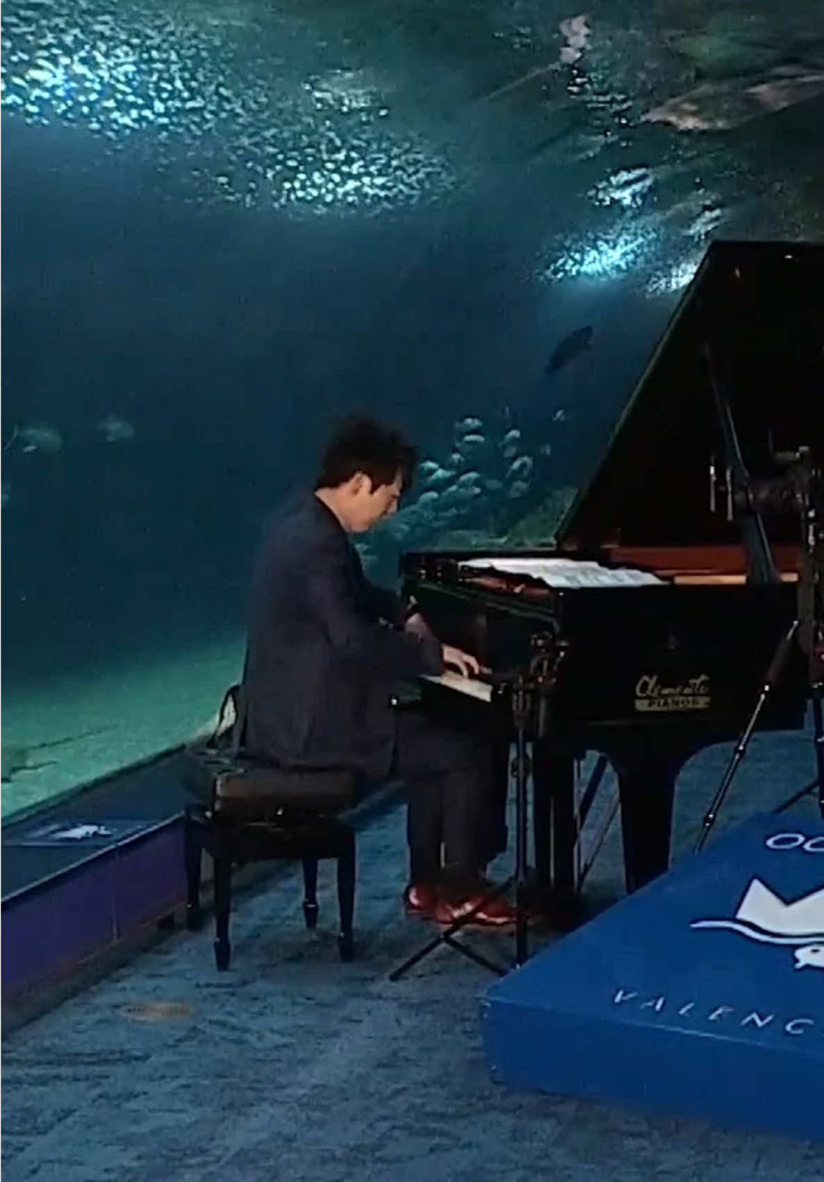 @Lang Lang