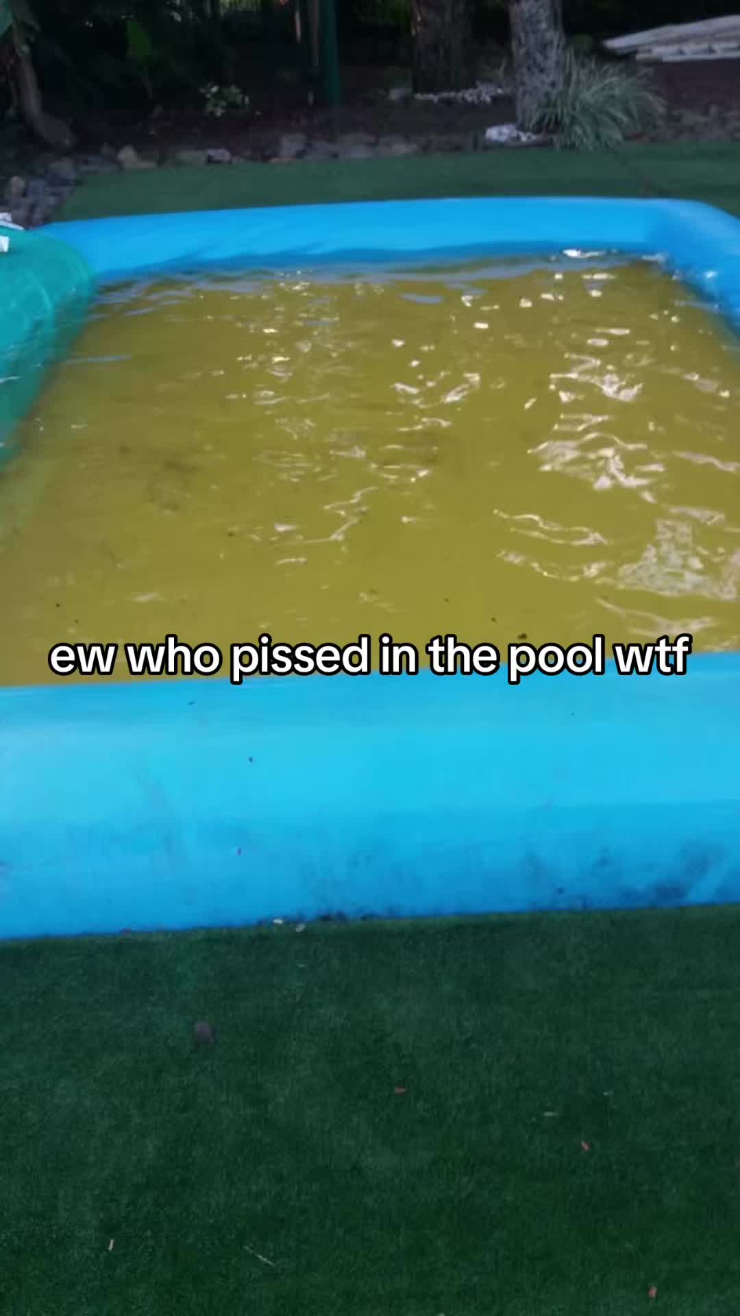 @🪽