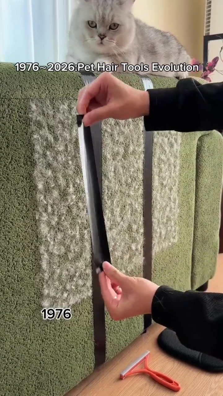 @lklkgfgf62