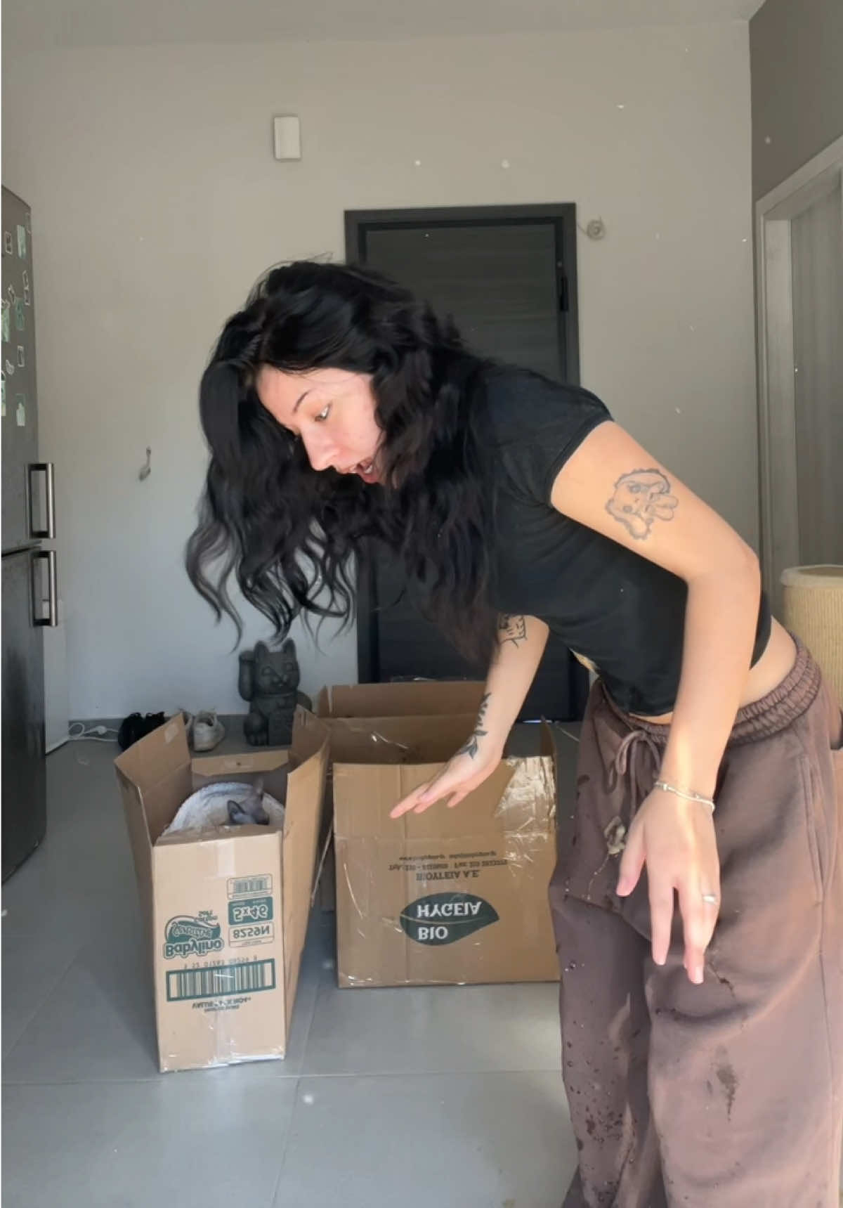@Fisalida