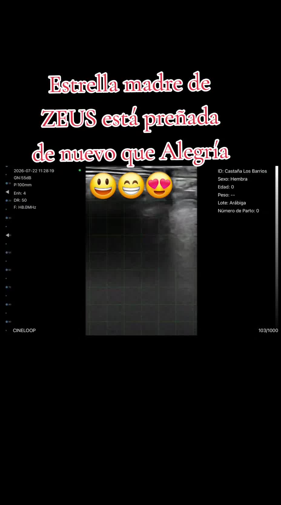 @@rinconlatino
