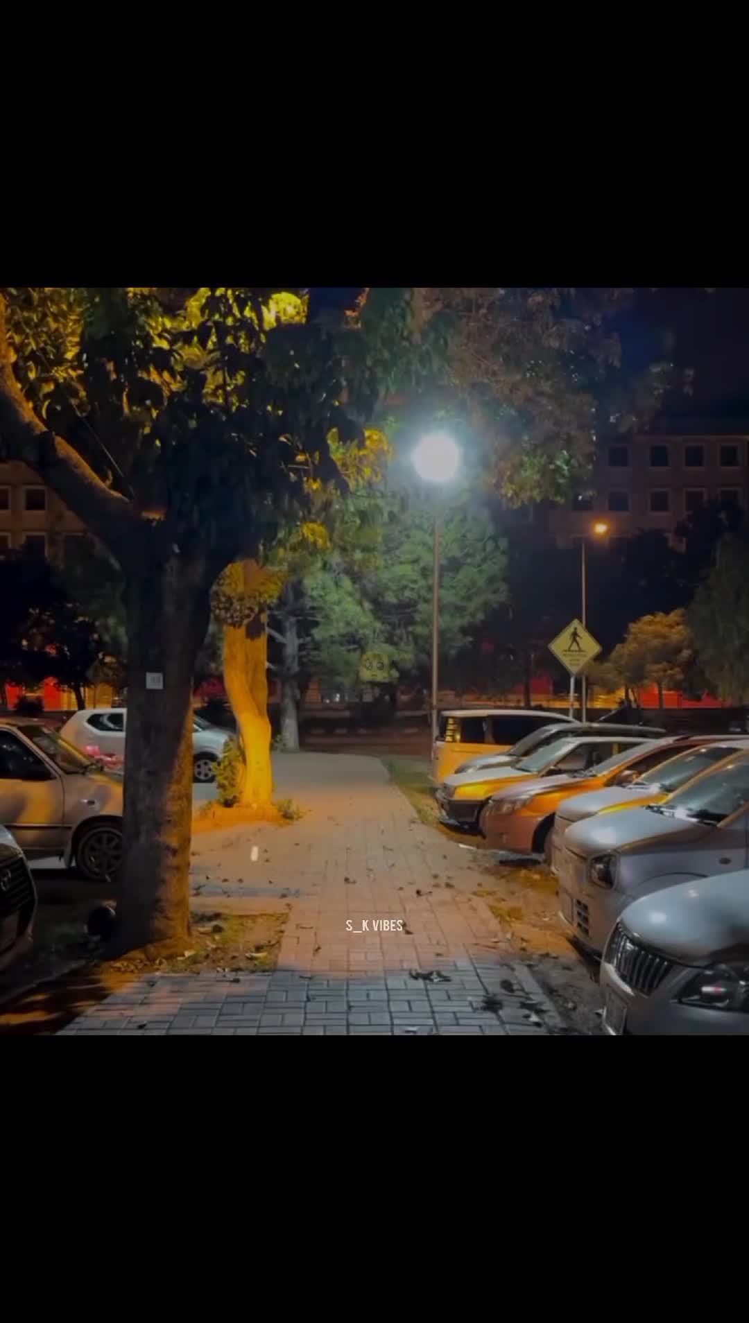 @S_K~Vibes ๐ซ