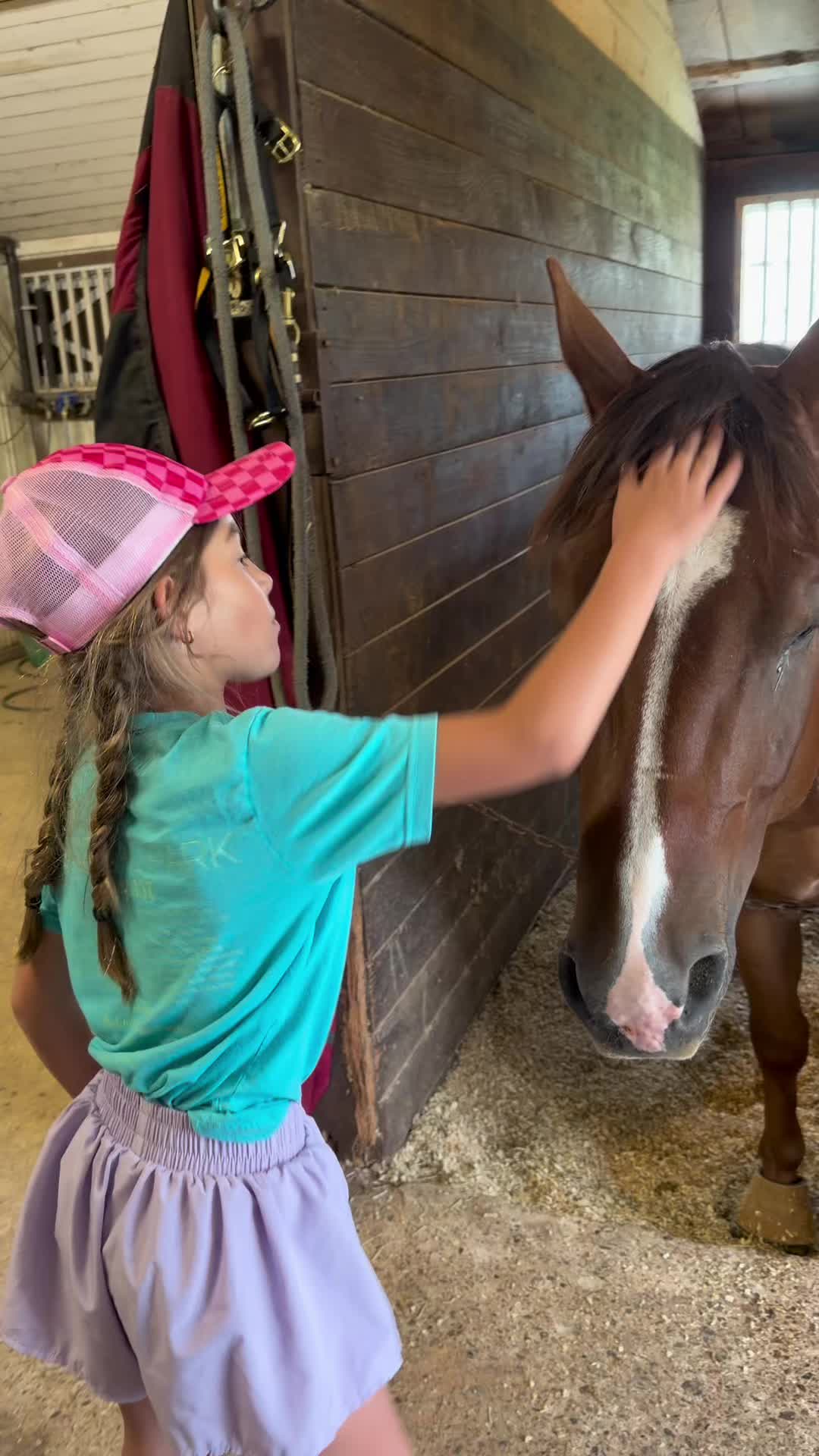 @5 Star Equine
