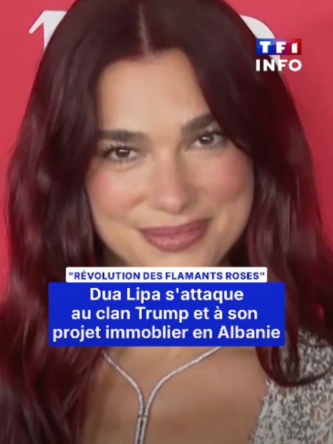@TF1 INFO
