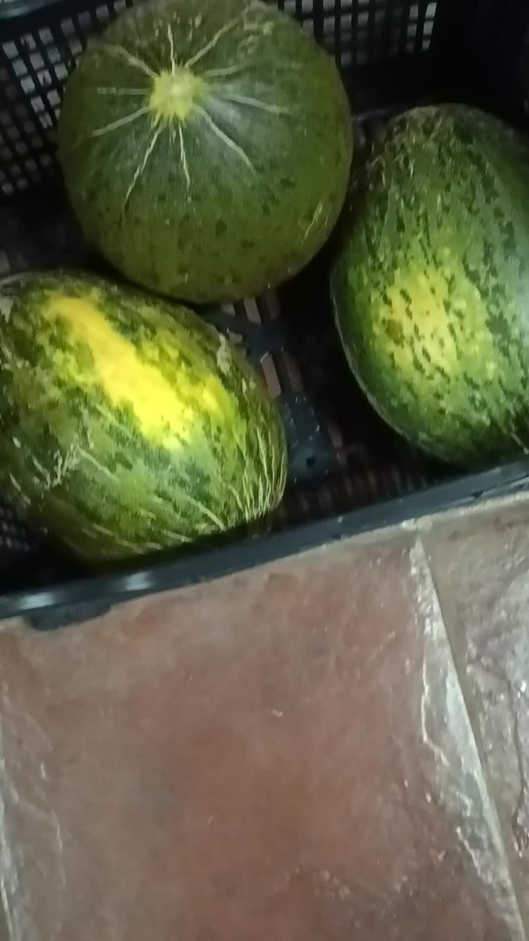 @Ana De Pintos