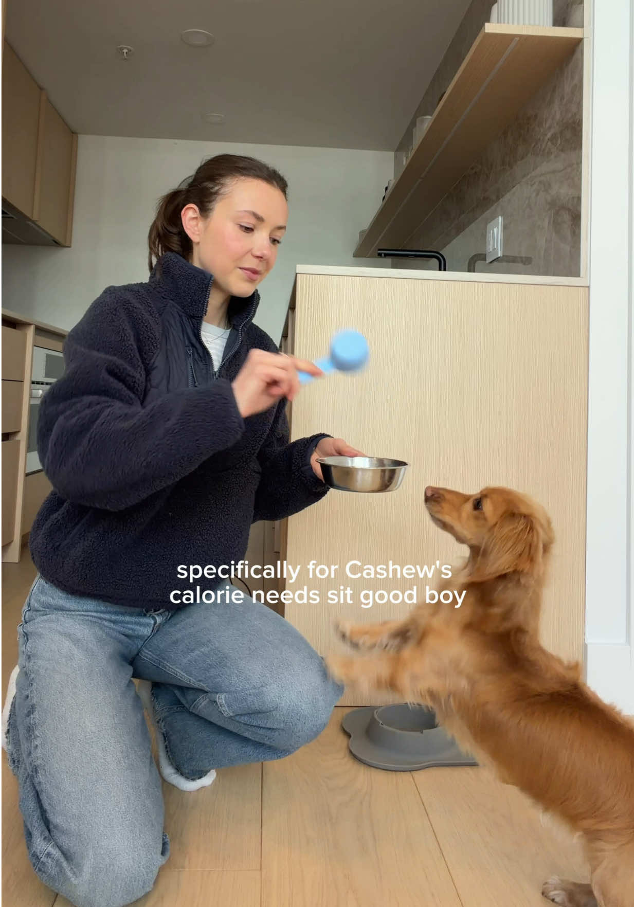 @cashewdachshund