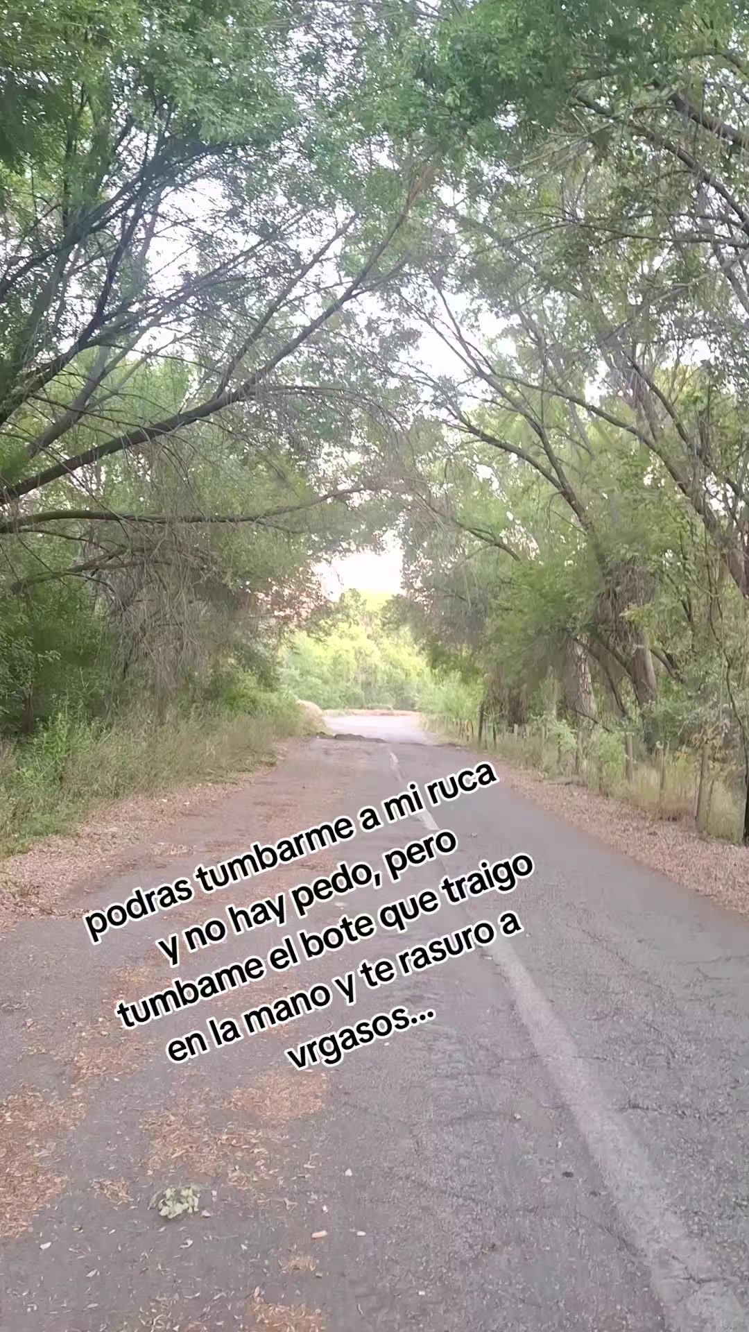 @Medina