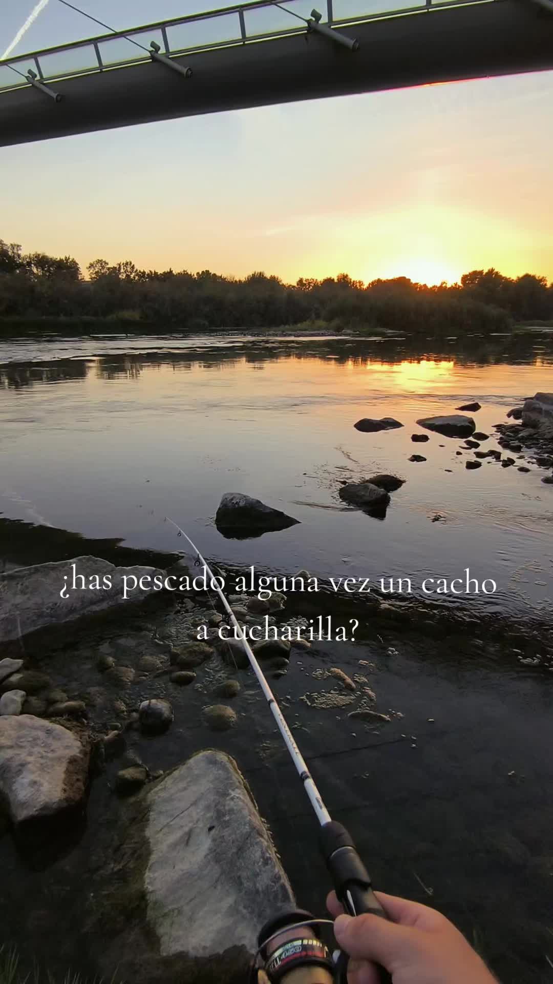 @siluros_delebro