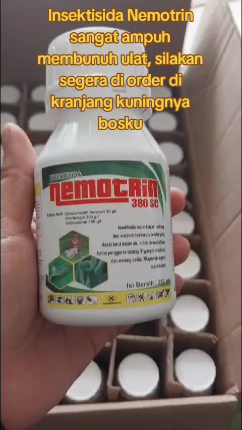 @Awig Shop Jaya Santosa