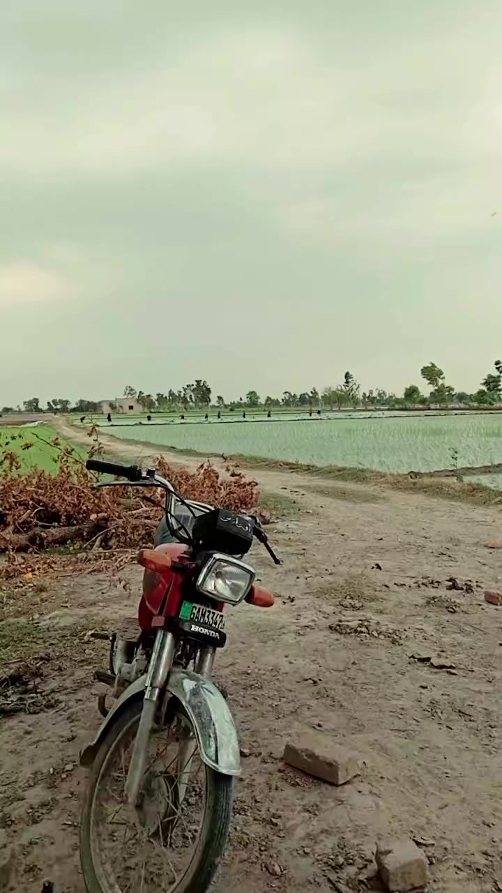 @Zohiab Sandhu