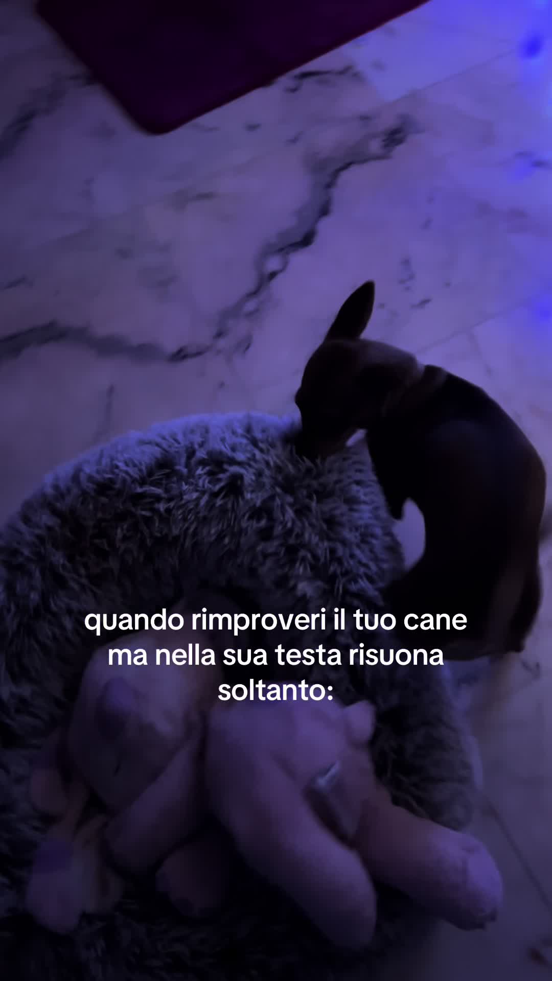 @sara