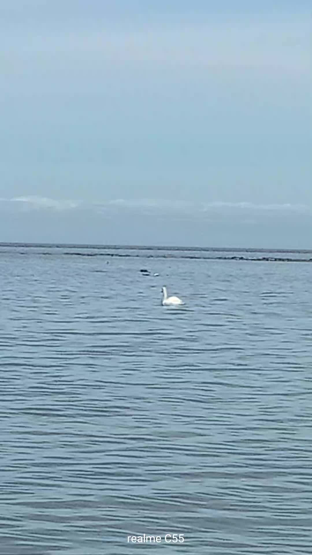 @Юльчик_937 🌊