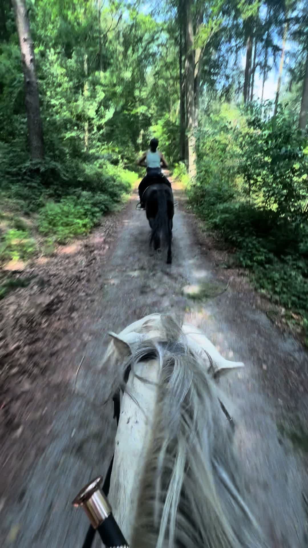 @leann.equest