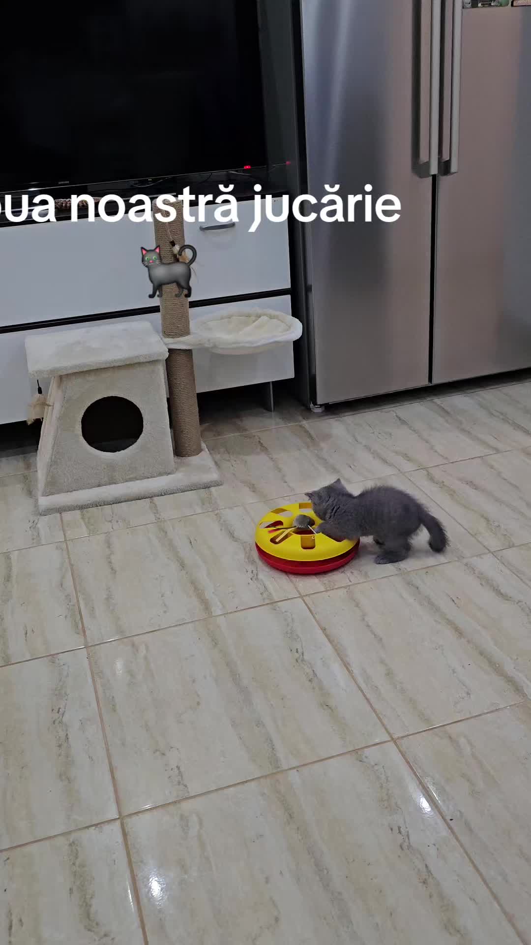 @Marinela Muntean