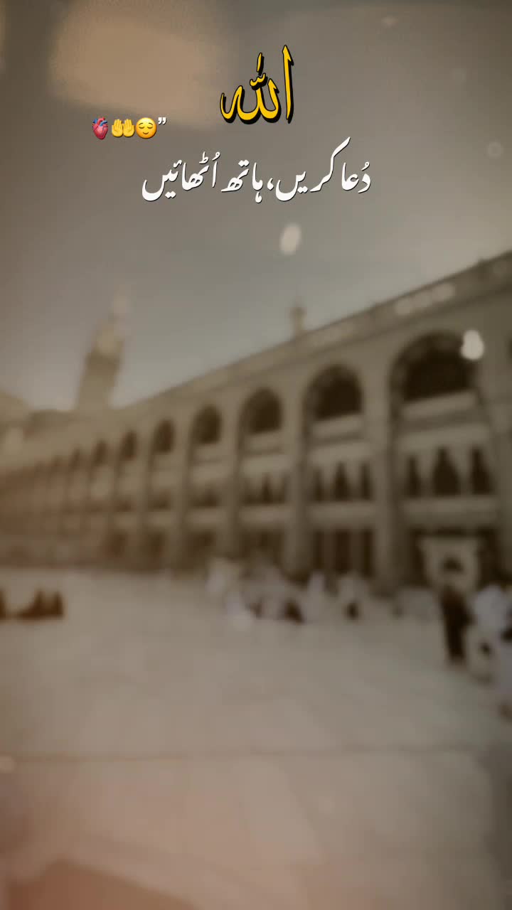 @Zahra Hussain
