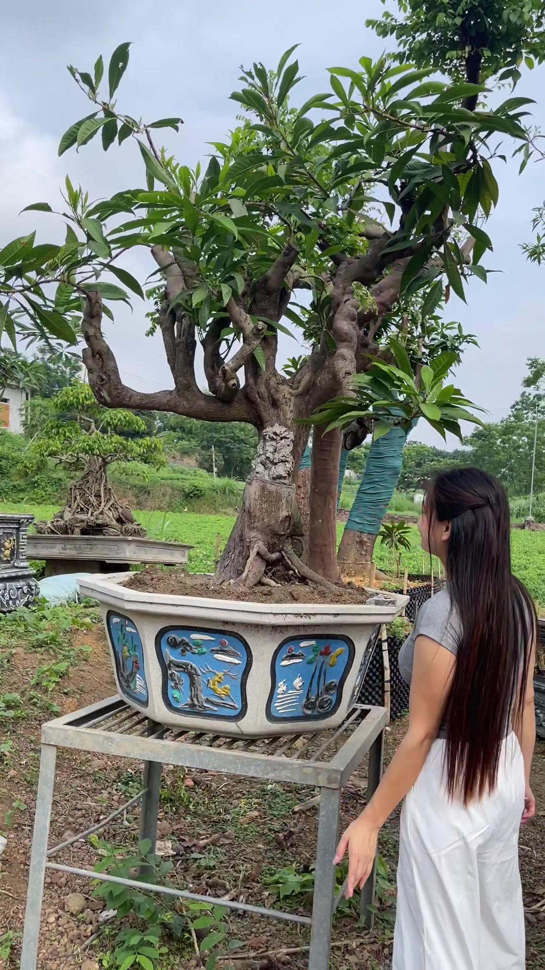 @Khổng La