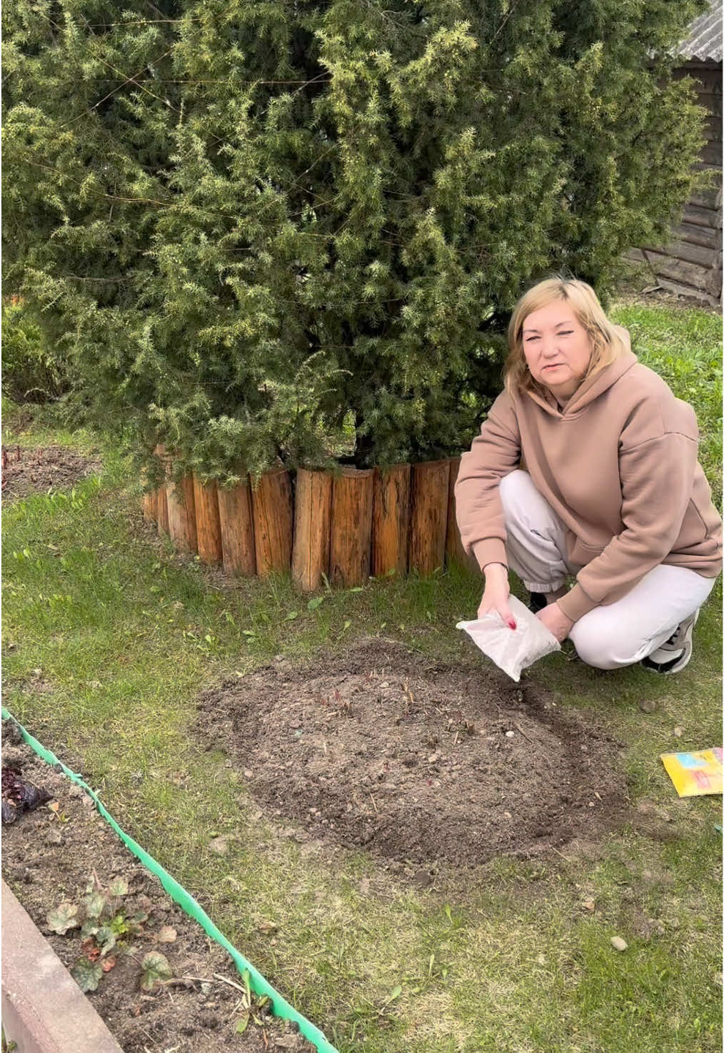 @shev.irina