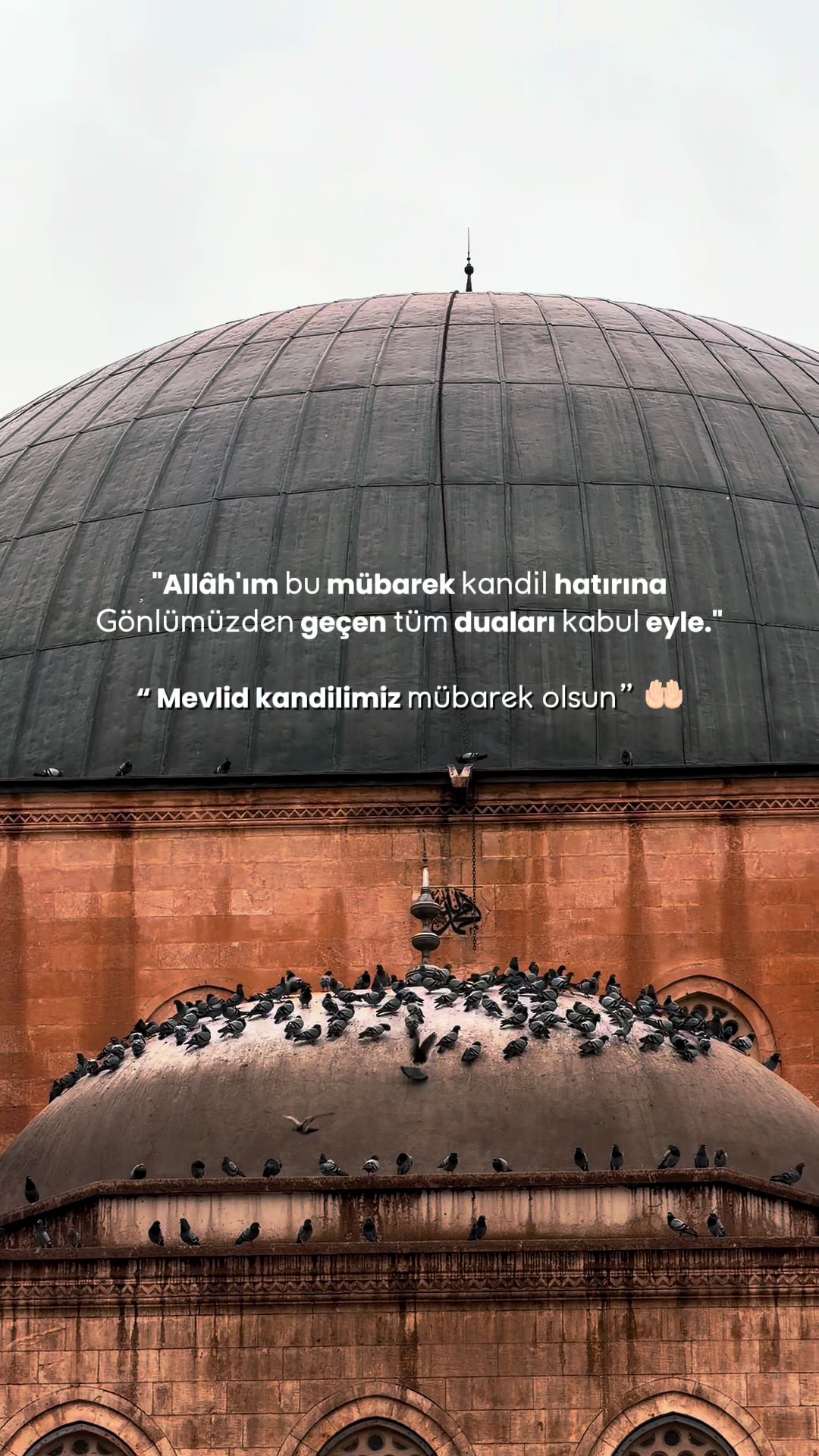 @MehmetDOGAN