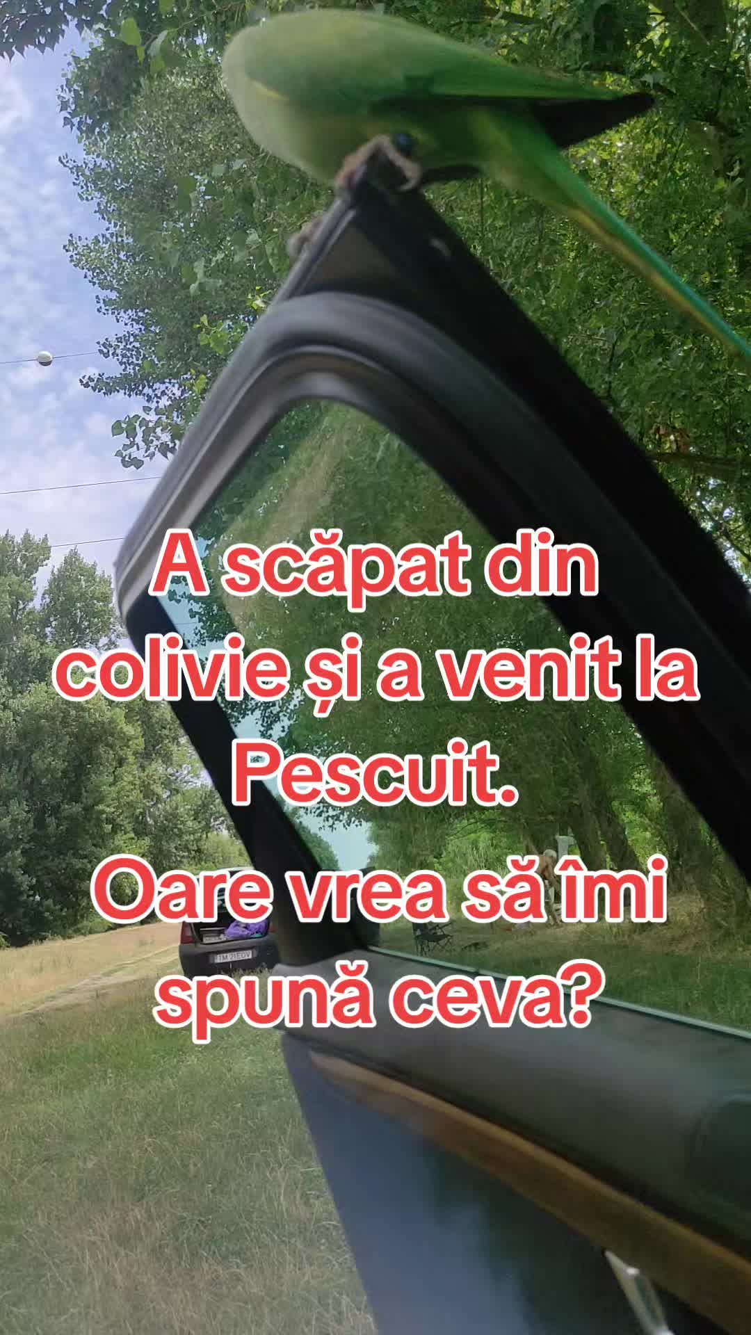 @Văru Nik