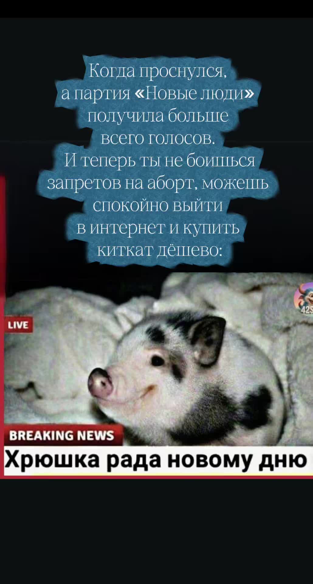 @gordostrossii23