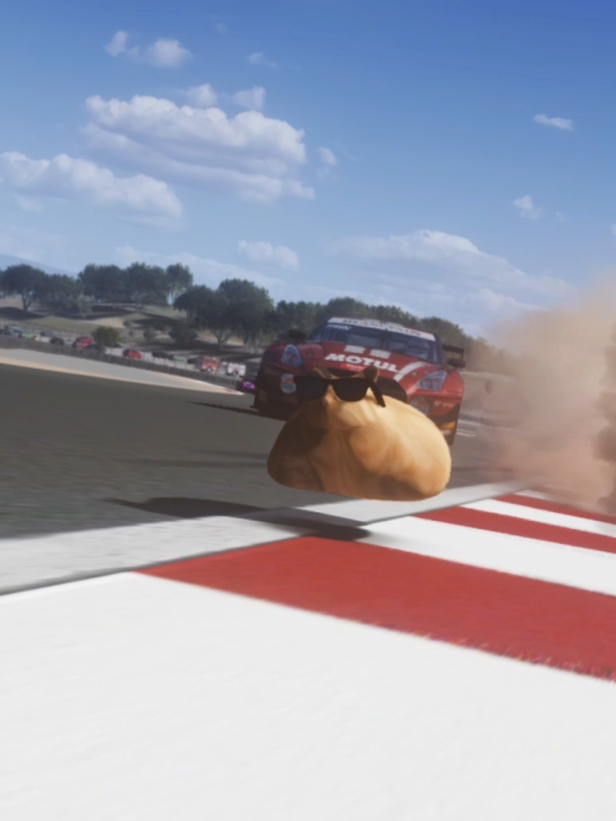 @Pablo the Race Cat