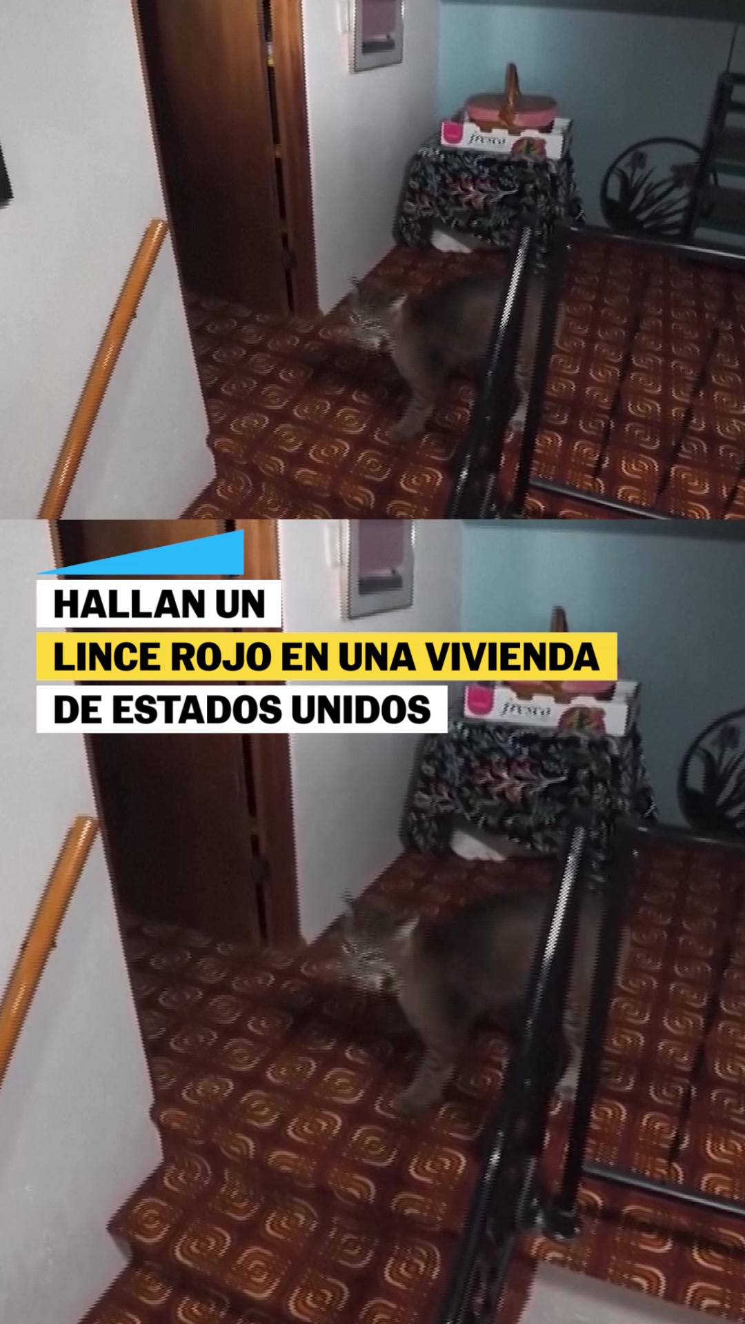 @El País