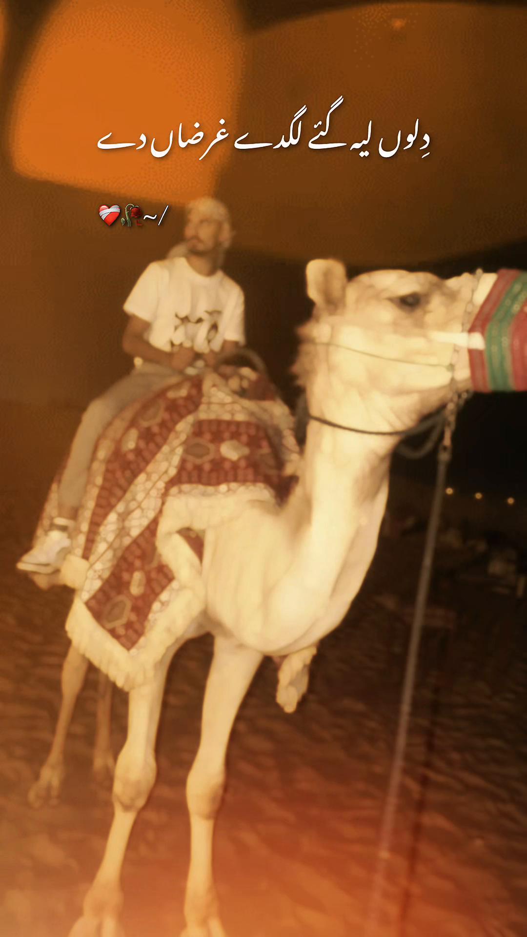 @Waleed302