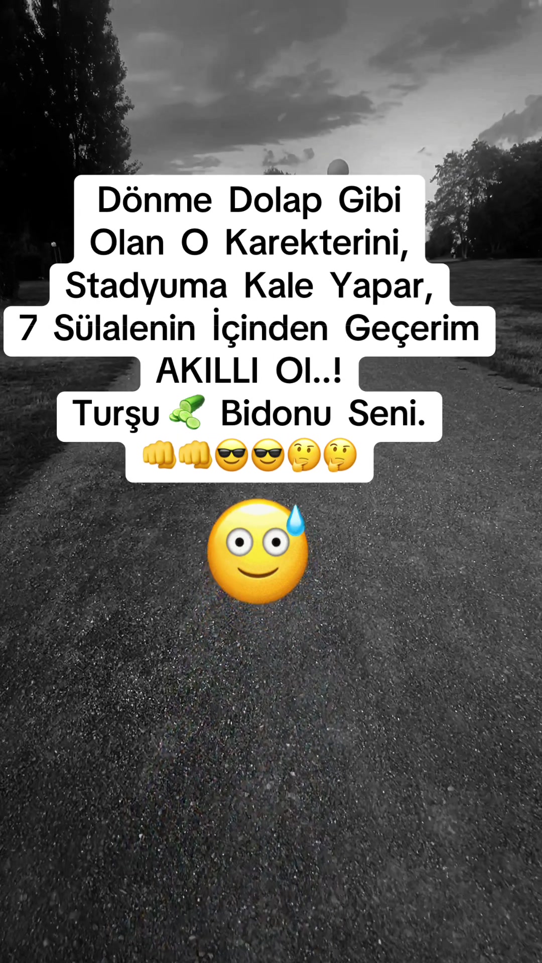 @✨🤍Ayliz_S🤍✨