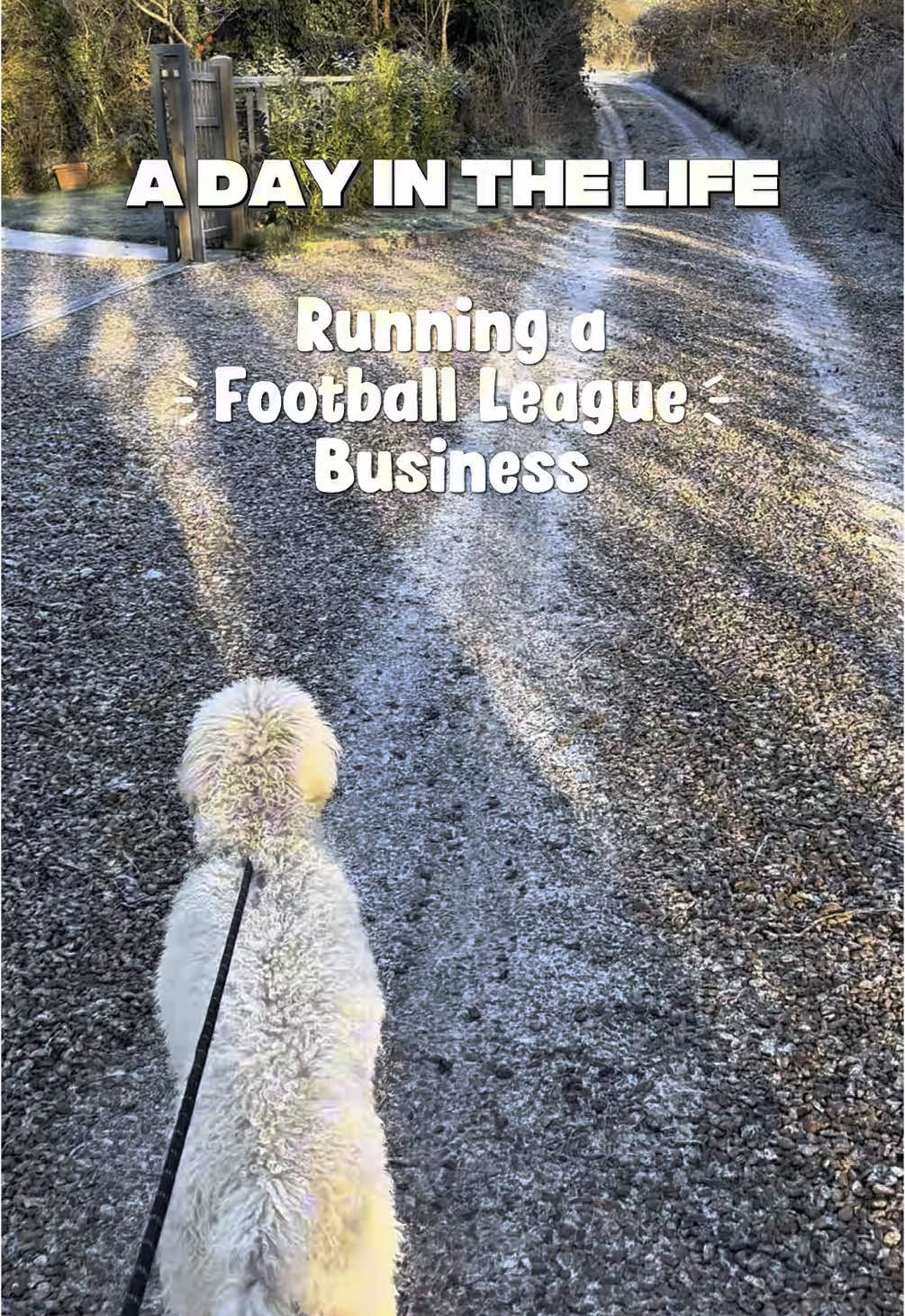 @localleague