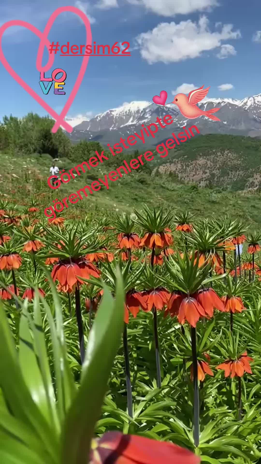 @Birsel mircikmameki62