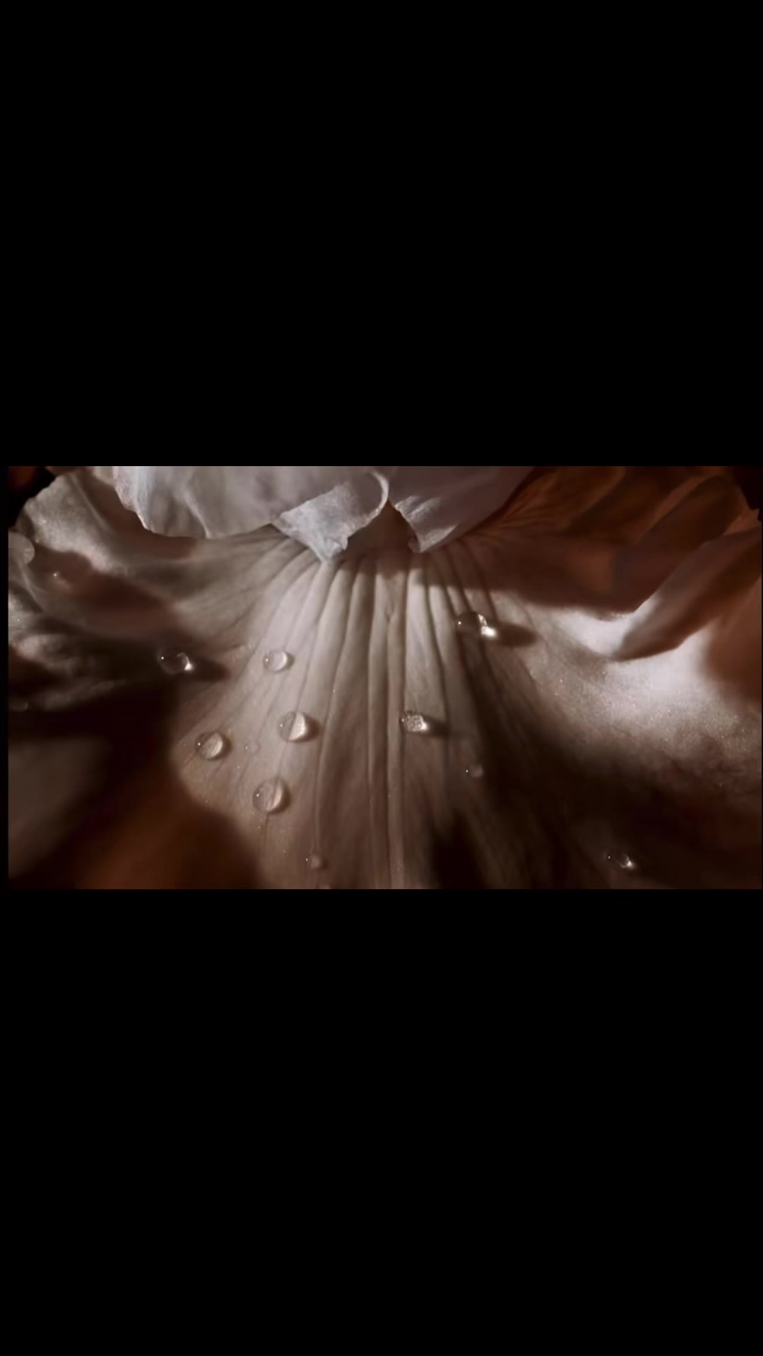 @Perfumeholic