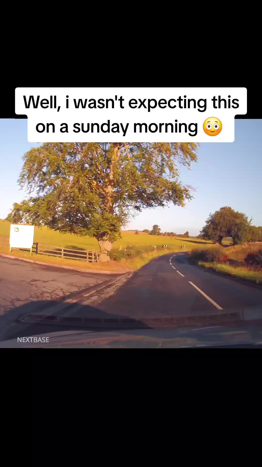 @Dashcam Videos