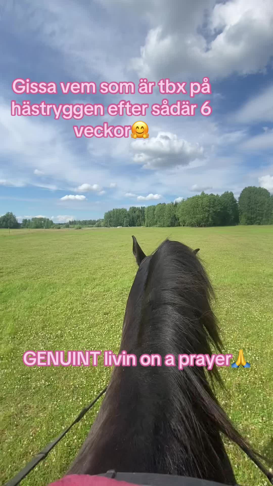 @Tuva Zettergren