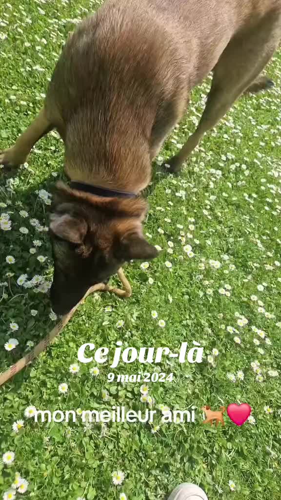 @🦋andjelina🦋