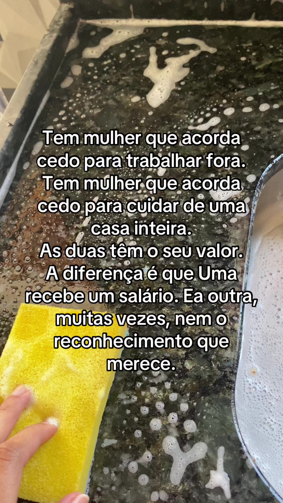@Suzy Fontenele
