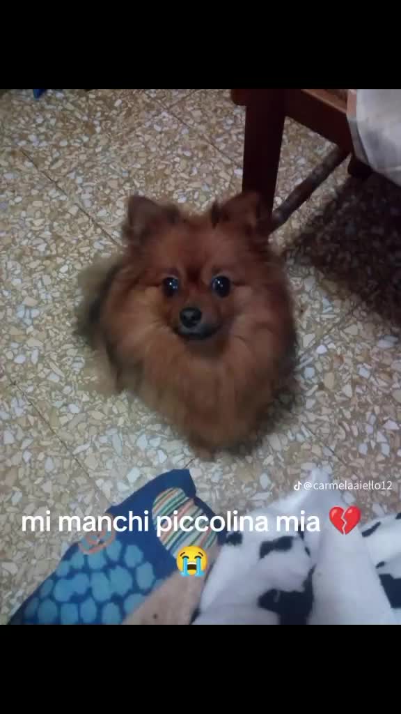 @Carmela Aiello