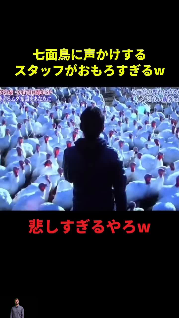@user2035328272983