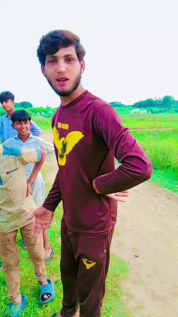 @phulloo official