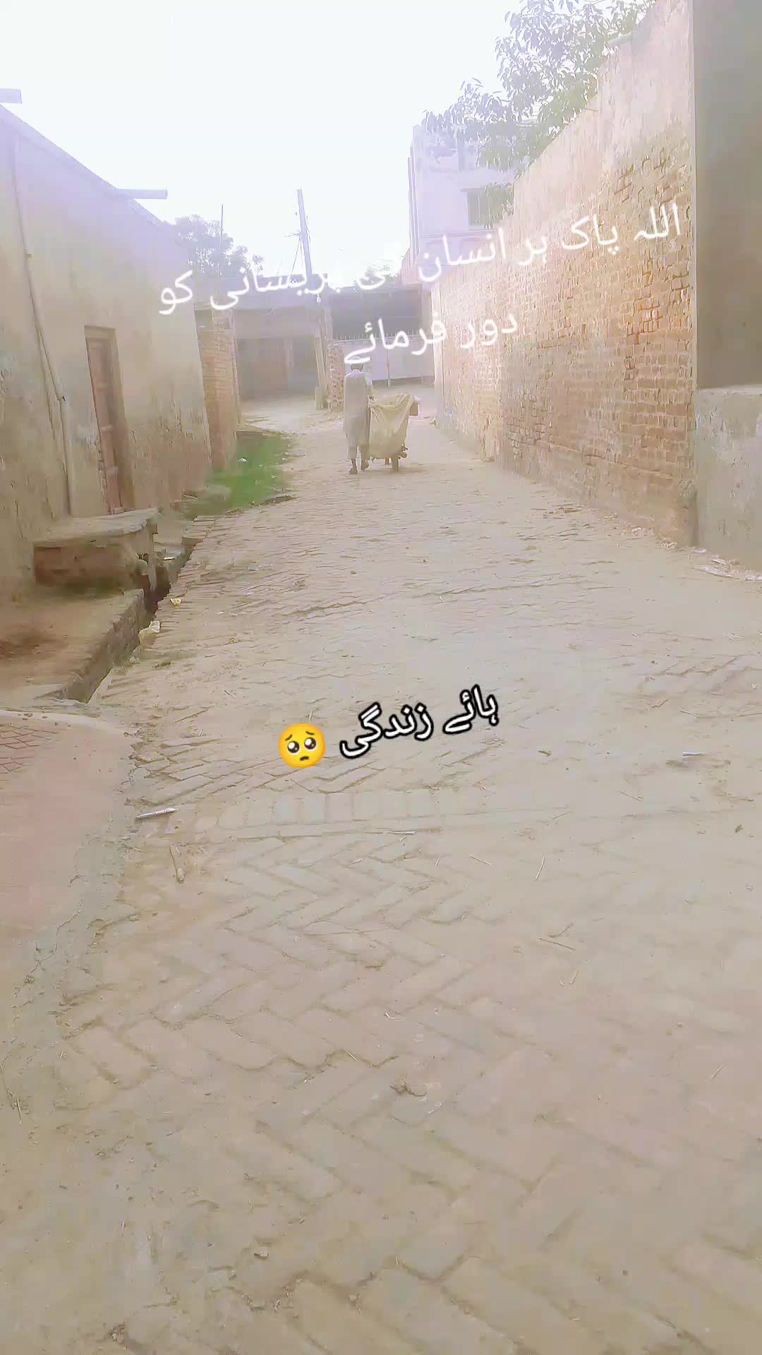 @Sonia shehzadi