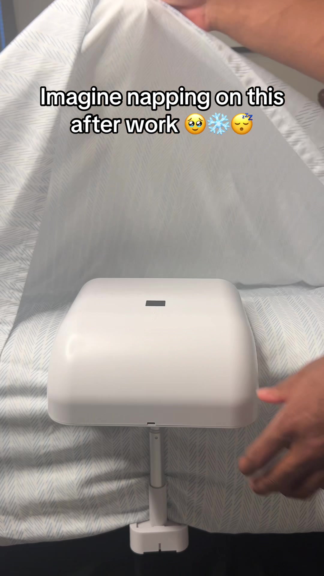 @RoseBloom
