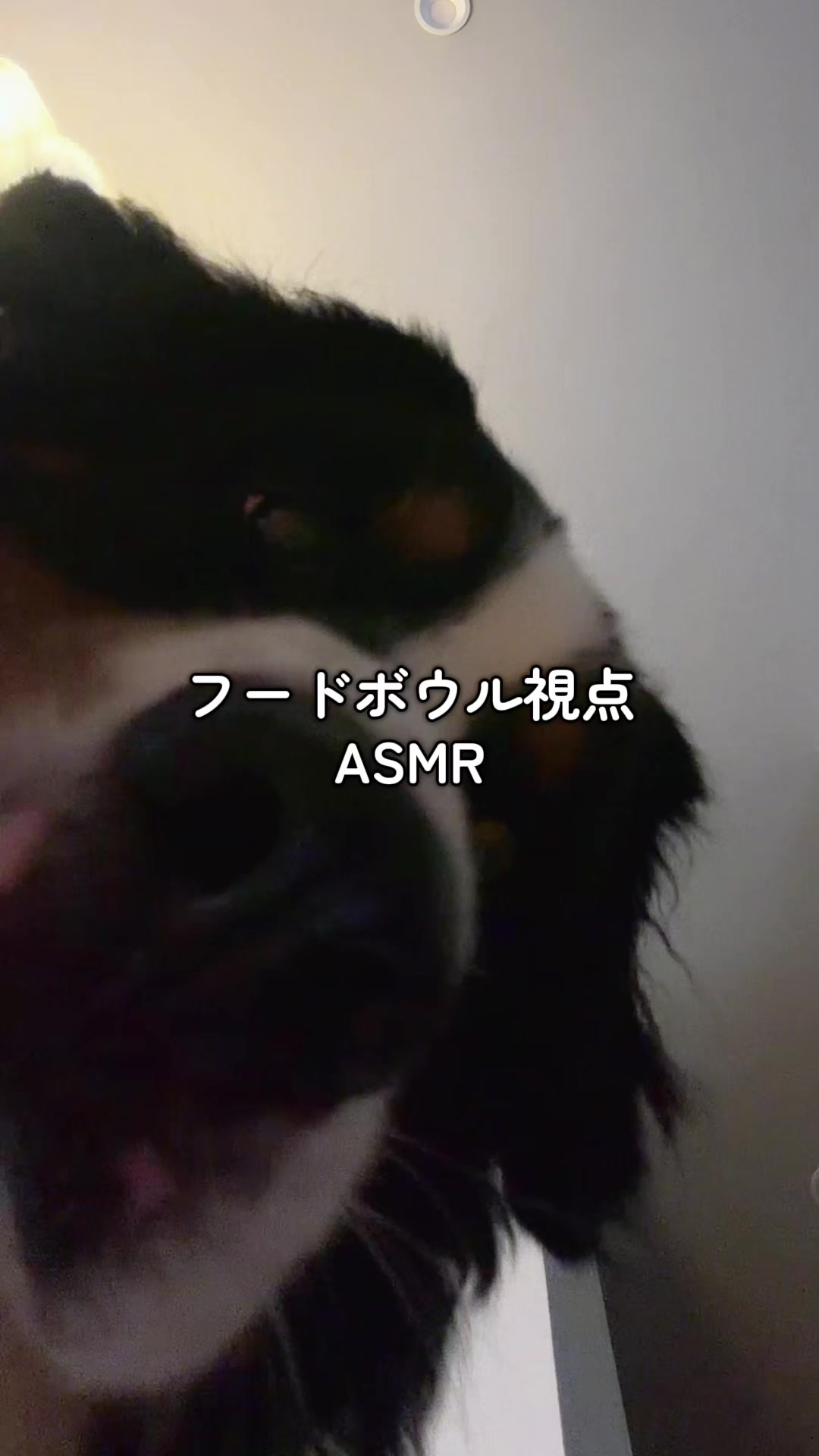 @å¯å£«å±±ð¶ð»ããŒããŒãºããŠã³ãã³ããã° - Fujisan