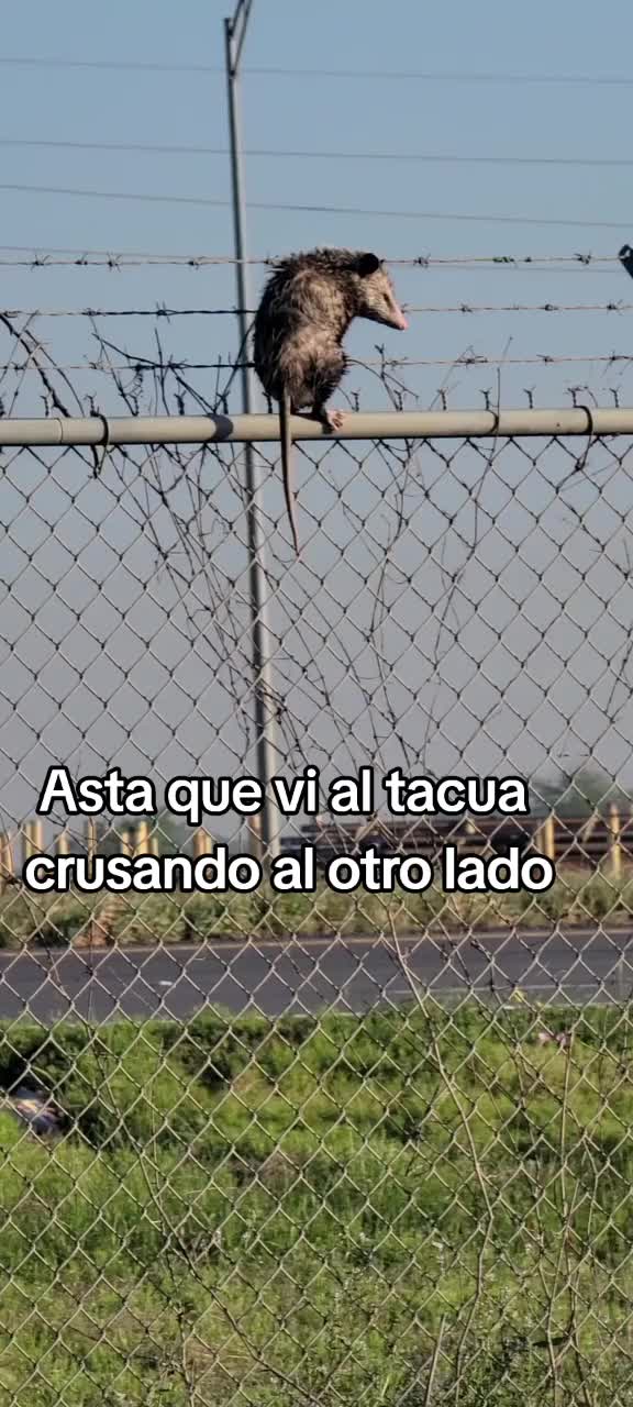 @SALMO 👉91:1🙏