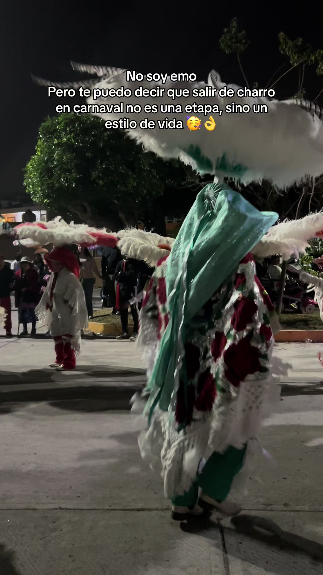 @Rive La Carnavalera ݁⋆ ★ ˚。⋆