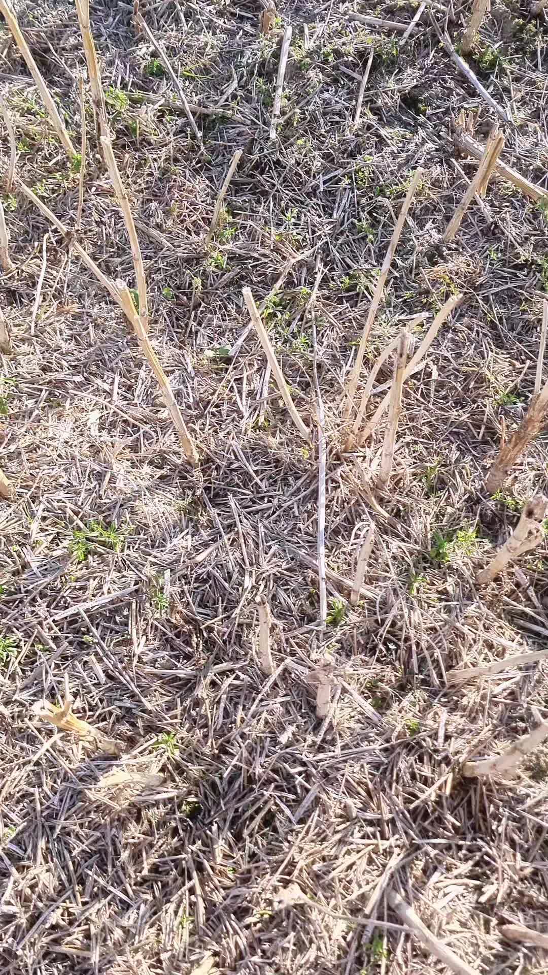 @Lantbruk är livet🚜🤠🌾
