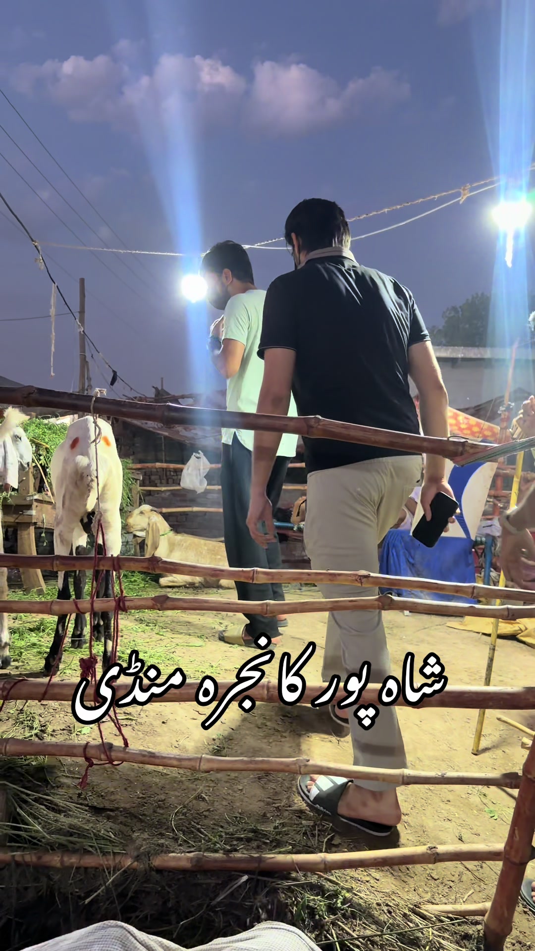 @AFZAL WATTOO