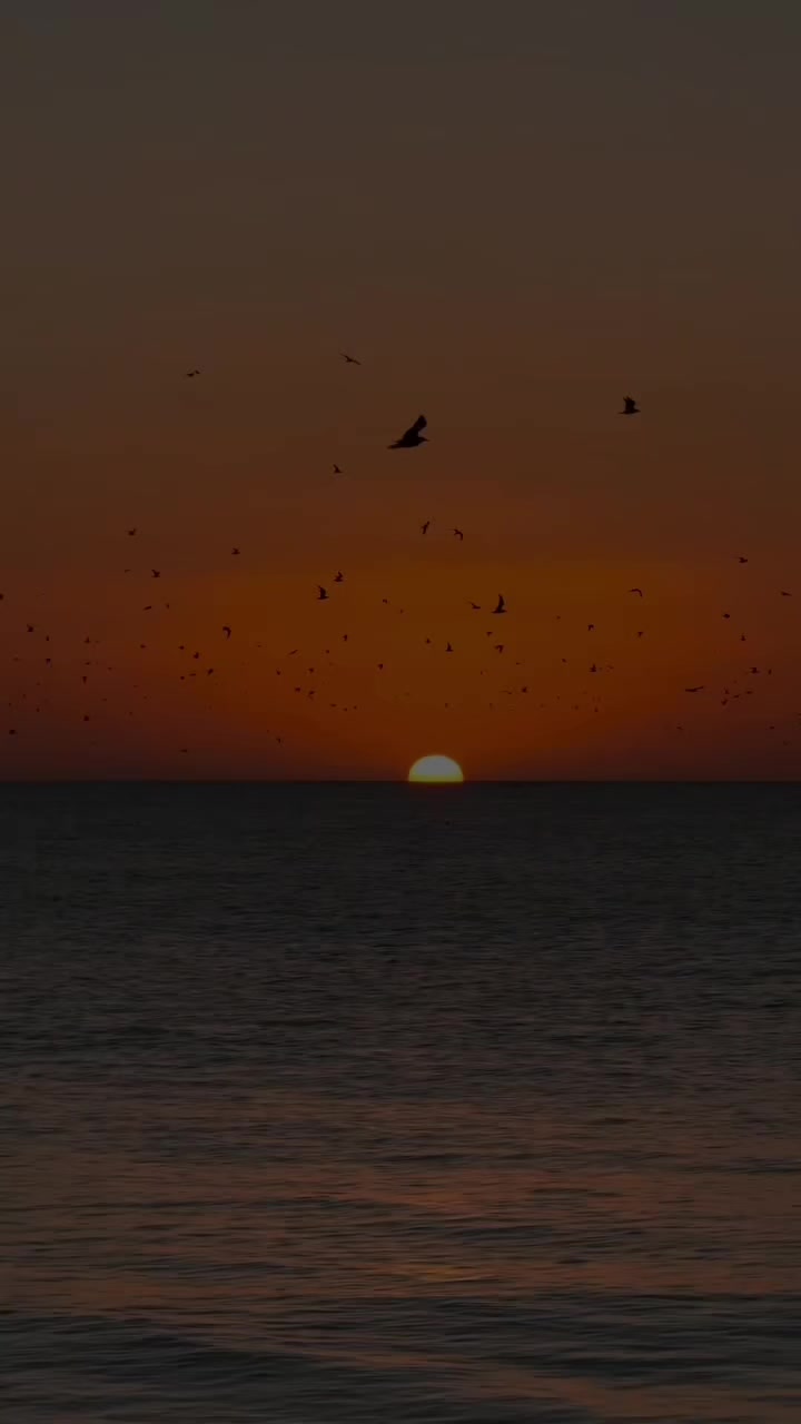 @༆zıo