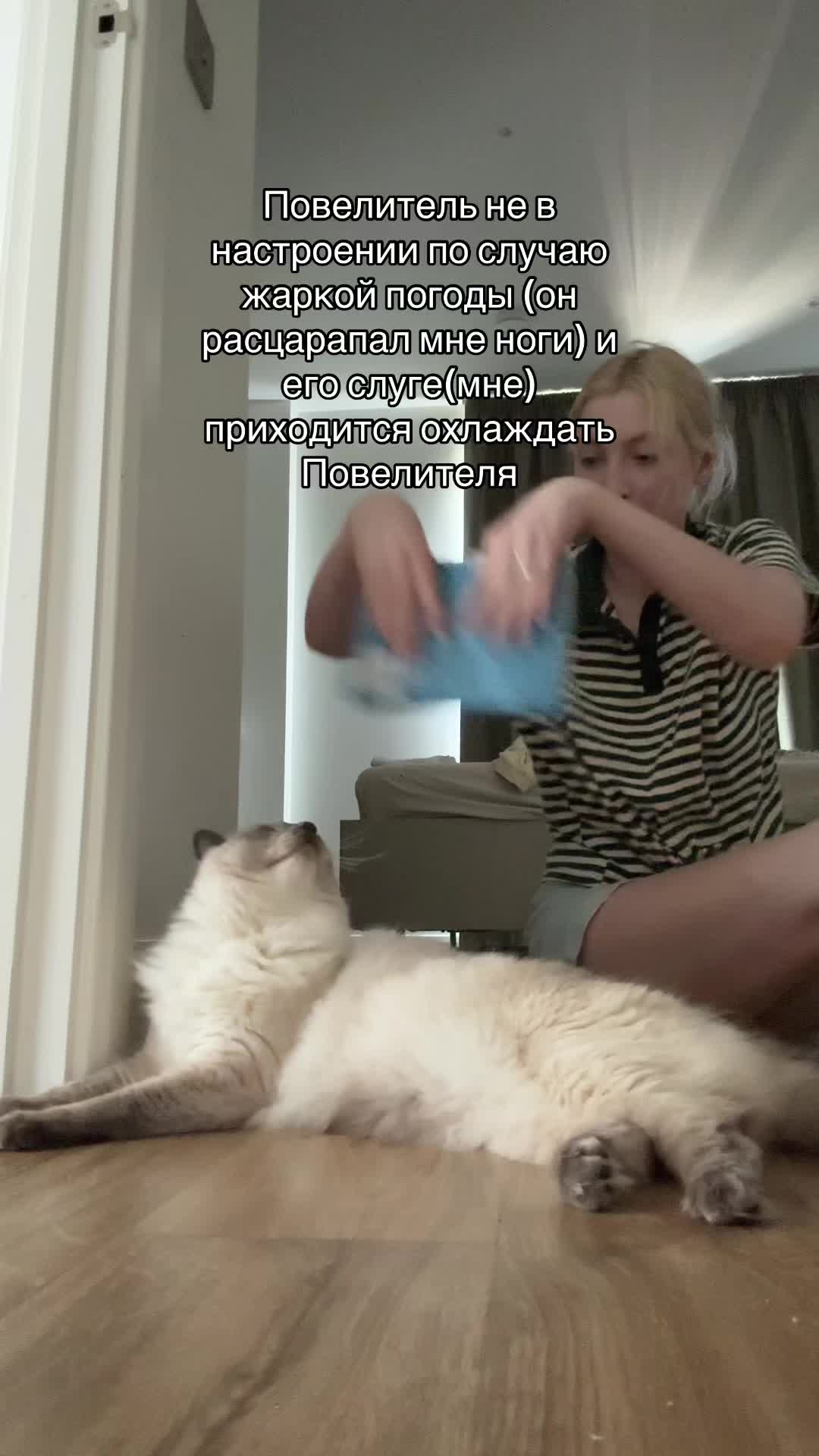@Сильвинит живет
